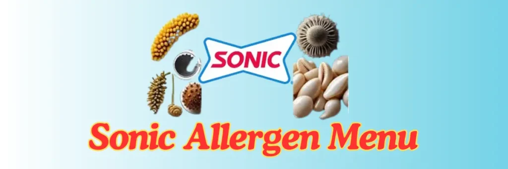 Sonic Allergen Menu 2025: Your Ultimate Guide to Safe Eating 2 welcome little one 28 1